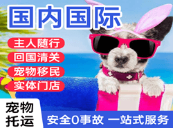赛乌素航空物流国际宠物托运 【国